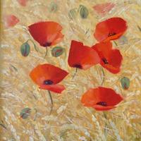 Quadro olio  tela Paesaggio Fiori Papaveri  24x30