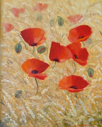 Quadro olio  tela Paesaggio Fiori Papaveri  24x30