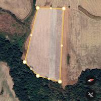 Terreno pianeggiante 3 ettari