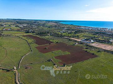 Casale con 4 ettari e mezzo di terreno