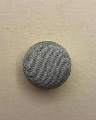Google home mini