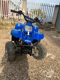 mini quad