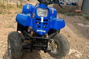 mini quad