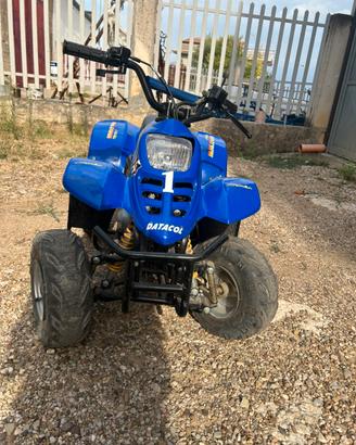 mini quad