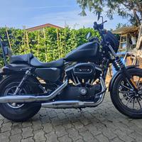 Harley Davidson 883 iron 2011
