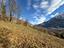 Immagine 7