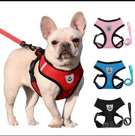 pettorina cani o gatti nuova colore azzurro