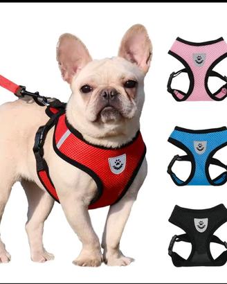 pettorina cani o gatti nuova colore azzurro