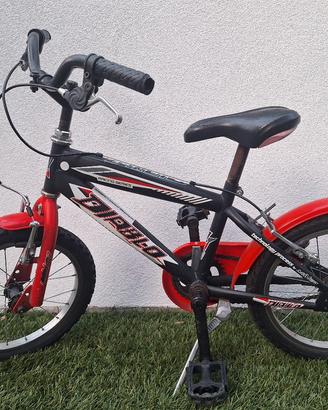 Bicicletta 16