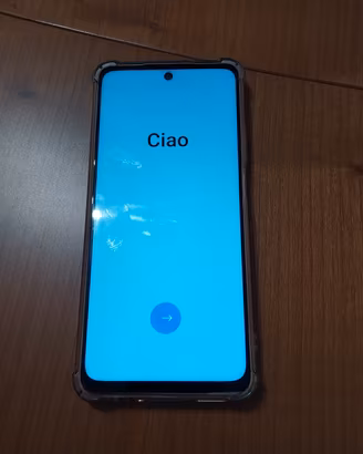 telefono cellulare