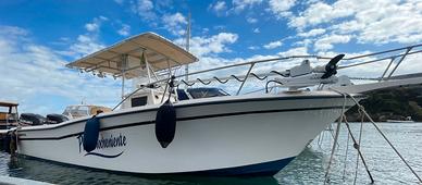 Grady white chase 263 - 2x 250 suzuki 2013