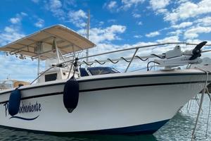 Grady white chase 263 - 2x 250 suzuki 2013