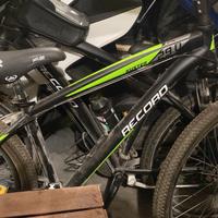 Biciclette Mountain bike