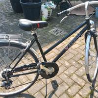 Bicicletta  donna Vicini