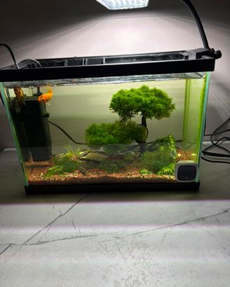 Acquario ciano 15 litri