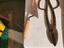 Immagine 3