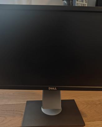 Monitor Dell Professional P1911 (19 pollici LCD)