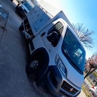 Furgone Fiat Ducato refrigerato