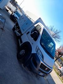 Furgone Fiat Ducato refrigerato