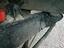 Immagine 29