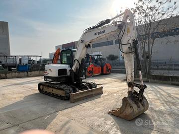 Bobcat