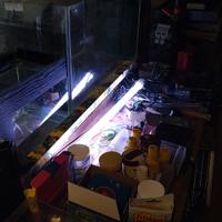 3 acquari completi con accessori 