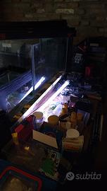 3 acquari completi con accessori 