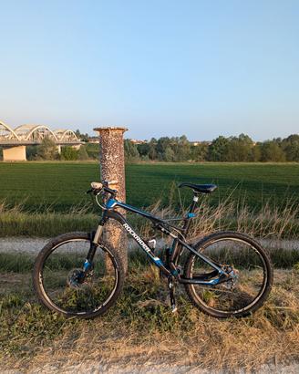 Mountain Bike in carbonio 