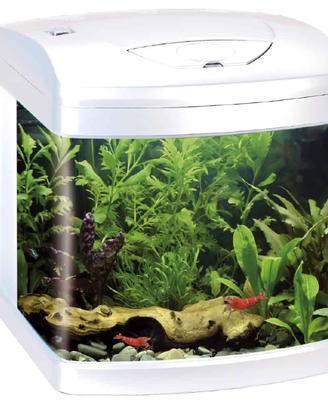 Acquario amtra xcube 26 litri