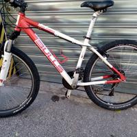 MTB REVISIONATA Ruota 26