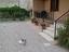 Immagine 25