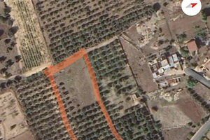 Terreno agricolo con uliveto