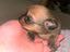 Immagine 4