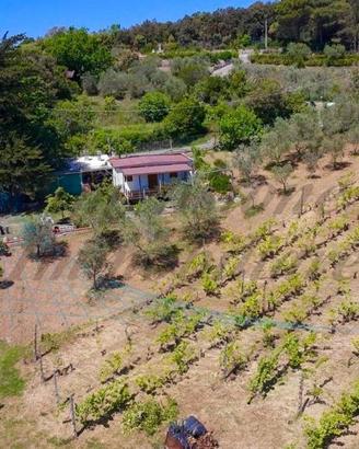 Villa di 2030 m² con 1 locale e box auto a Rosigna