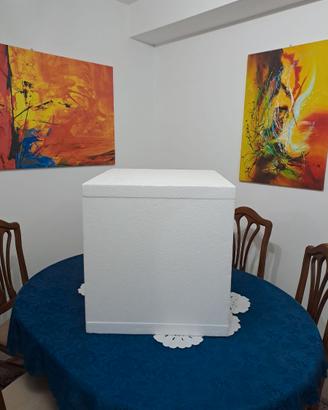 Box frigo da 40x40 e 50x50 in polistirolo