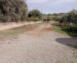 Villa con Uliveto