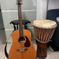 🎸 Seagull Coastline Cedar S12 | 480€ 🎶