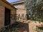 Immagine 7