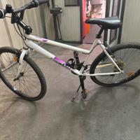 bicicletta