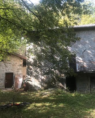 Rustico con terreno