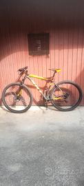 bici 29 alluminio 