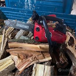 motosega dunsch da potatura