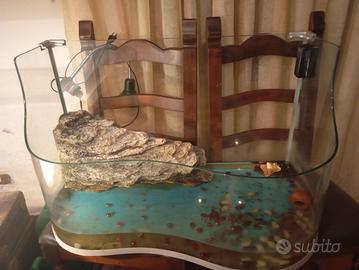 acquario tartarughiera 