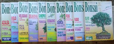 riviste Bonsai Italiano - Collezione 29 numeri