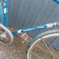 bici bottecchia