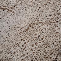 Copriletto matrimoniale in pizzo lavorato a mano -