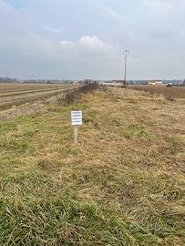 Terreno Agricolo - 3818 mq