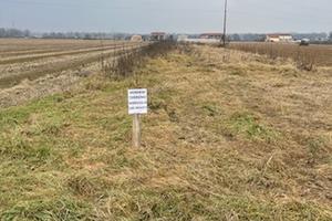 Terreno Agricolo - 3818 mq