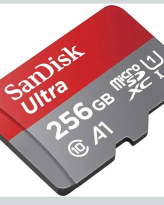 SanDisk Ultra microSDXC UHS-I memory card 256 GB