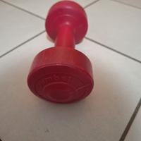 Manubrio Peso 1 kg Dumbell